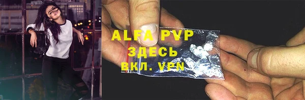 Альфа ПВП Каменка