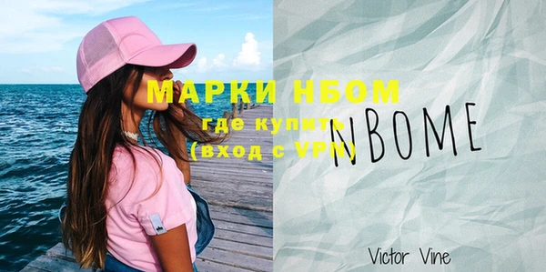 Альфа ПВП Каменка